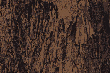 Tracing - texture and surface of tree vector