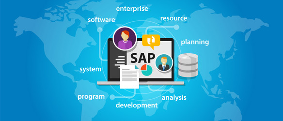 SAP ERP System Software vector
