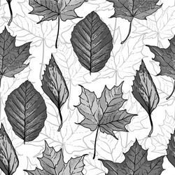 Black and White Leaf Pattern Vector Image