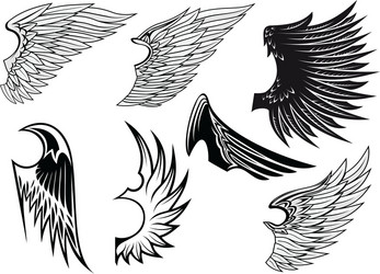 Winged Heraldry Set Vector Image