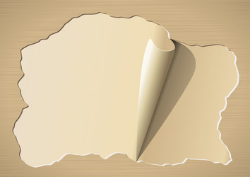 vintage torn paper with copyspace for your text vector image