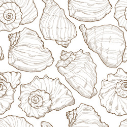 Hand-Drawn Seashell Pattern vector image