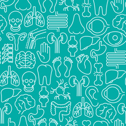 Human internal organ anatomy seamless Royalty Free Vector