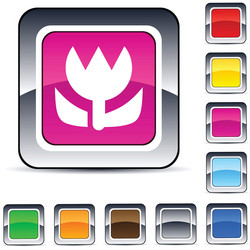 macro square button vector image