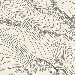 topographic map background concept with space vector image