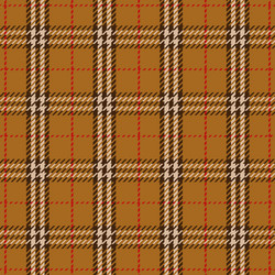abstract background with a plaid style pattern vector image