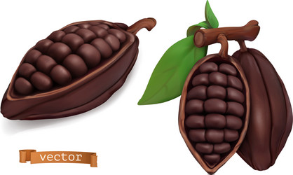 Cacao fruits cocoa pods 3d realistic objects vector