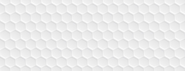 White Hexagon Pattern vector image
