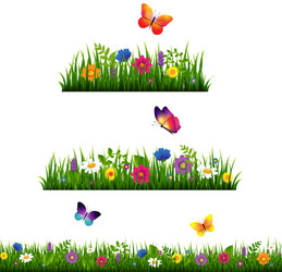 Green leaves and grass border isolated white Vector Image