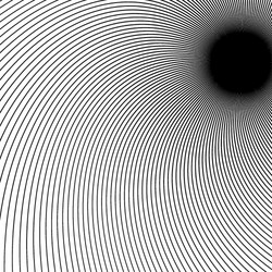 Thin dynamic curved lines monochrome geometric vector