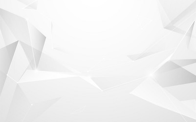 molecules structure mesh on white background vector image