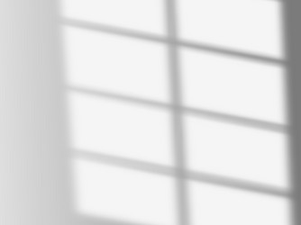 shadow overlay effect soft light and shadows from vector image