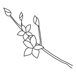 Branch sketch vector