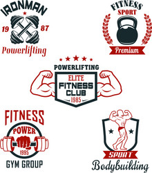 Fitness & Strength Badge Set Vector Image