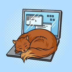 cat sleeping on laptop pop art vector