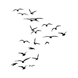 Birds in Flight Silhouette Vector Image