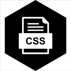css file document icon vector image