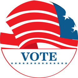 isolated american campaign button Vector Image