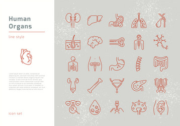 Large set black and white icons human organs Vector Image
