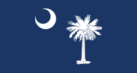 South Carolina State Flag vector