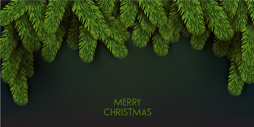 Christmas background with green fir twig vector