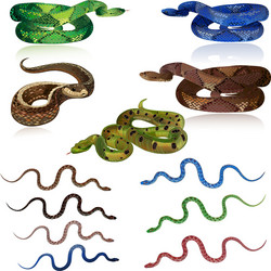 Snake Pattern Vector Images (over 13,000)