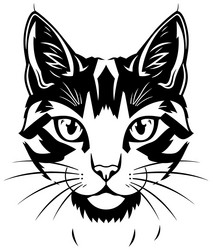 Black Cat Head Outline Vector Image
