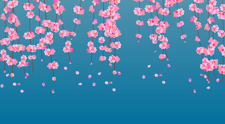 sakura cherry branches with delicate pink flowers Vector Image