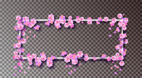 Sakura on a white frame place vector
