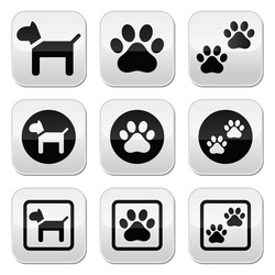 dog paw prints buttons set vector