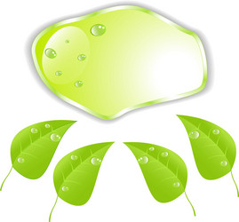 Green leaf with space for text eps10 vector