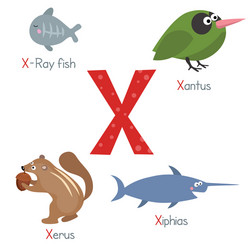 Cartoon Animal Alphabet Vector Image