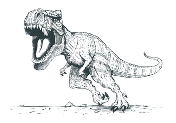 angry fearless reptile tyrannosaurus rex vector