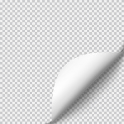 page curl with shadow on blank sheet of paper vector image