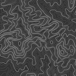 topographic map background with space for copy vector image