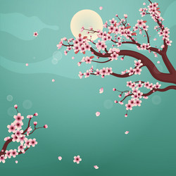 Beautiful cherry blossom with a full moon vector