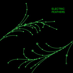 Wire grid feathers made of connected dots vector