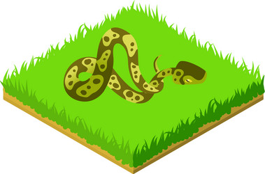 Ball Python Vector Images (96)