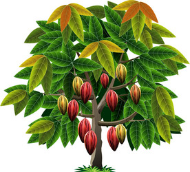 Cocoa Tree Vector Images (over 2,900)