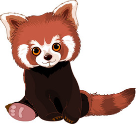 Vermelho Panda Desenhos Animados Expressões Conjunto Pacote Ilustração Em  Formato Vetorial Royalty Free SVG, Cliparts, Vetores, e Ilustrações Stock.  Image 189591795