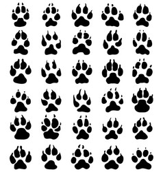 Dog Paw Prints Vector Image