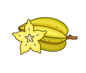 Carambola or star fruit whole and slice vector