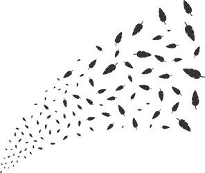 feather source stream vector