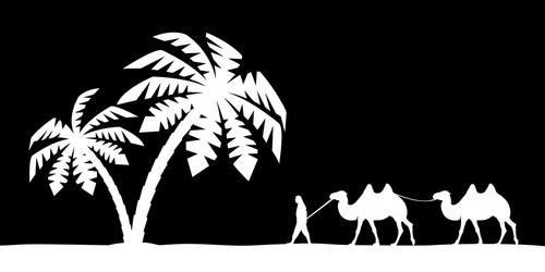 man on the camel in palm trees vector image