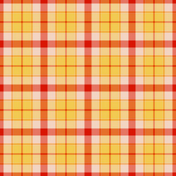 back texture plaid seamless print pattern check vector image