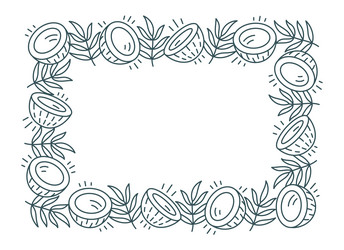 coconut line square frame background pattern vector image