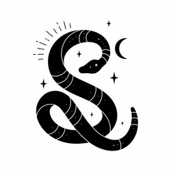 Black snake with mystical magic objects vector