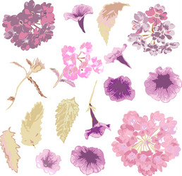 Hand drawn flowers set Royalty Free Vector Image