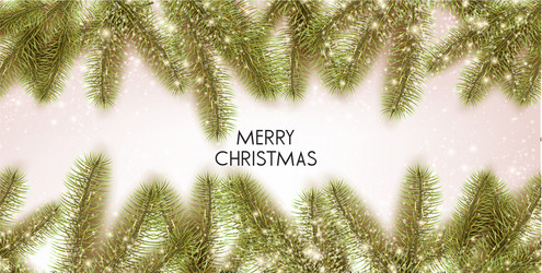 Christmas background with green fir twig vector