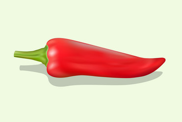 Chilly paper paprika icon gradient mesh vector